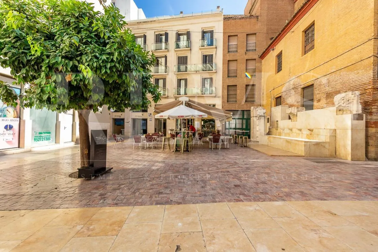 Larios Steps Apartment By Ele Apartments Málaga